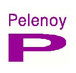 Pelenoy Constructions Pty Ltd - Gold Coast Builders