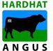 Hardhat Angus - Gold Coast Builders