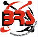 BRS Gold Coast Window Replacement  Handrails - Gold Coast Builders