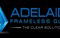 Adelaide Frameless Glass - thumb 0