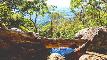 Tourism Listing Partner Accommodation Mount Tamborine